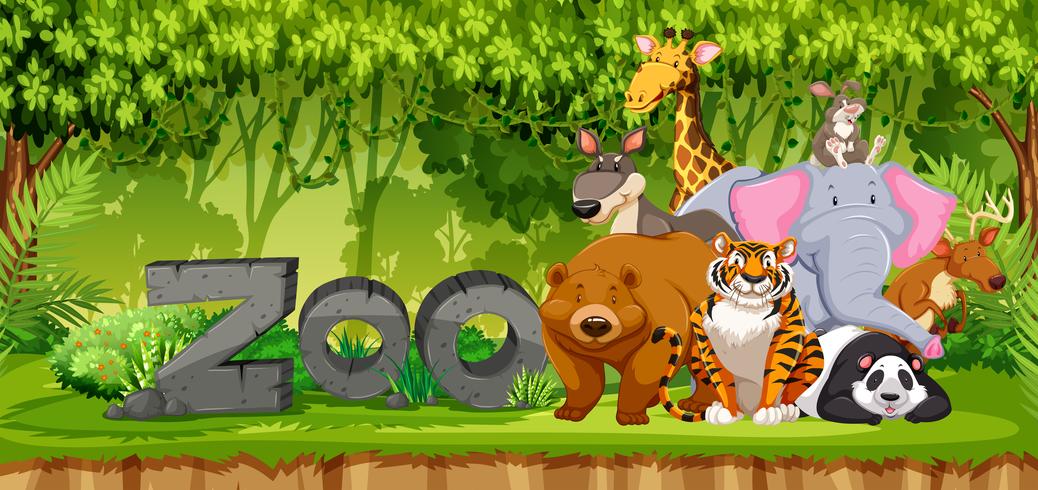 Set of zoo animals in jungle vector