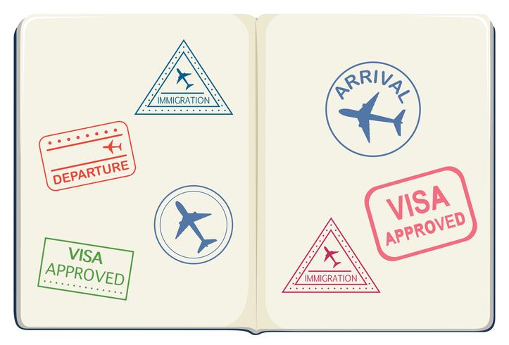 Inside of a passport vector