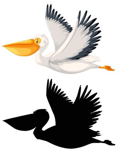 Aet of pelican character vector