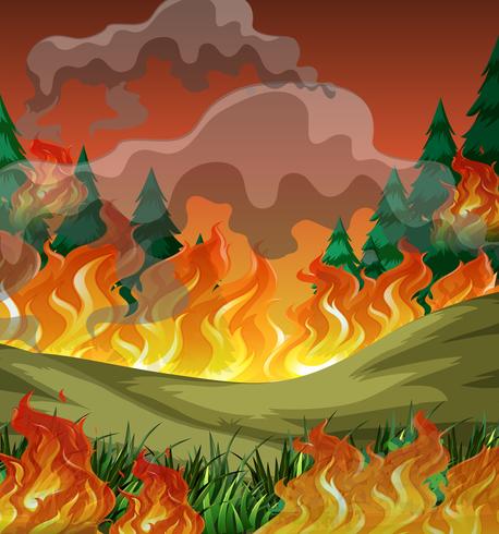 Fondo de incendio forestal peligroso vector