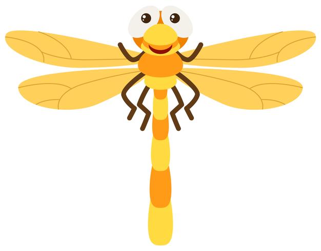 Dragonfly with yellow wings vector