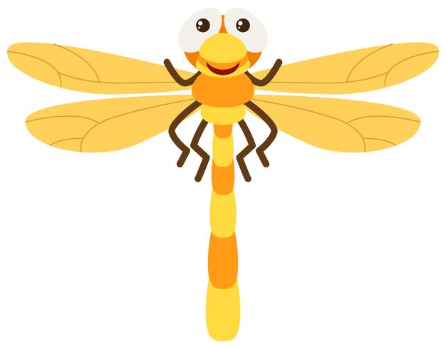 Dragonfly with yellow wings vector