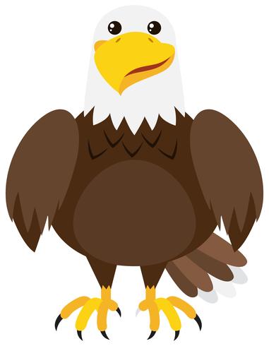 Brown eagle on white background vector