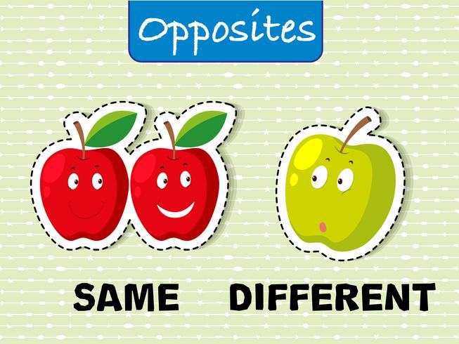 Opposite adjectives words with same and different 1845124 Vector Art at  Vecteezy