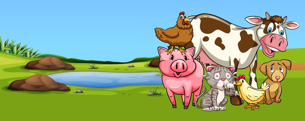 Many types of animal on farmyard vector