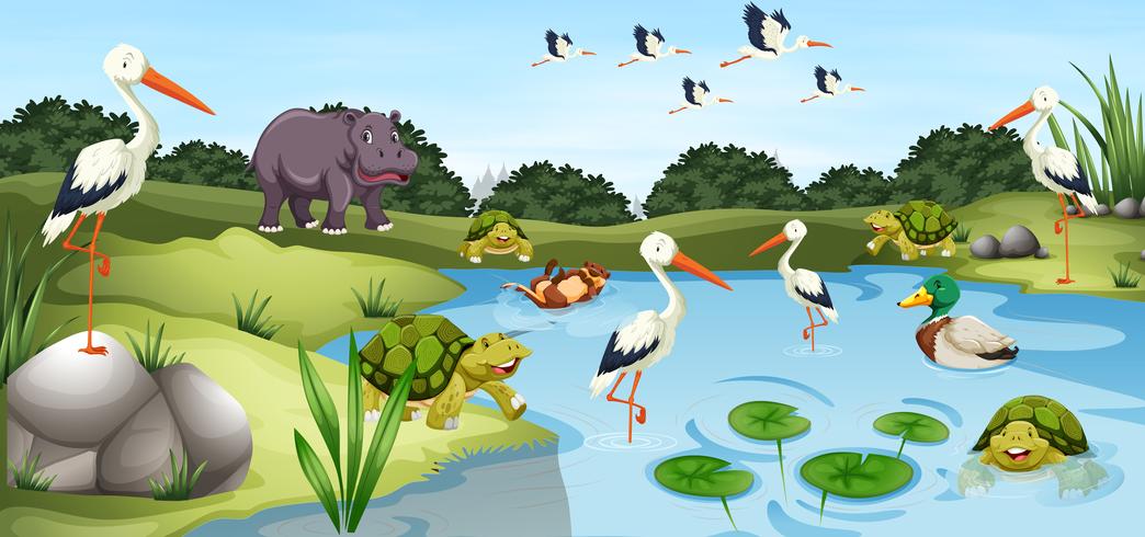Many wild animals in the pond - Download Free Vector Art, Stock Graphics & Images