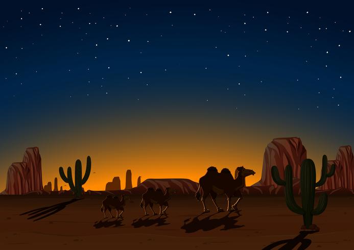 Silhouette Camels in Desert at Night vector