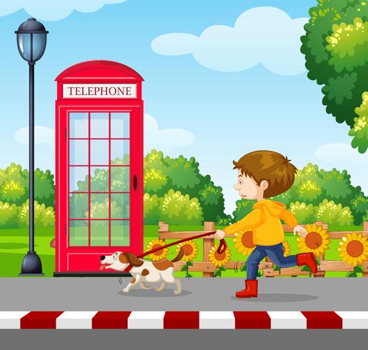 A Boy Walking a Dog vector