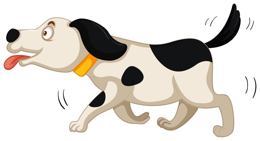 Dog running on white background vector