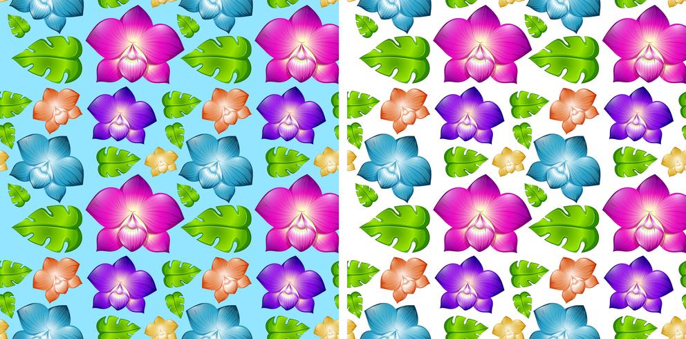 Two seamless backgrounds with colorful flowers vector