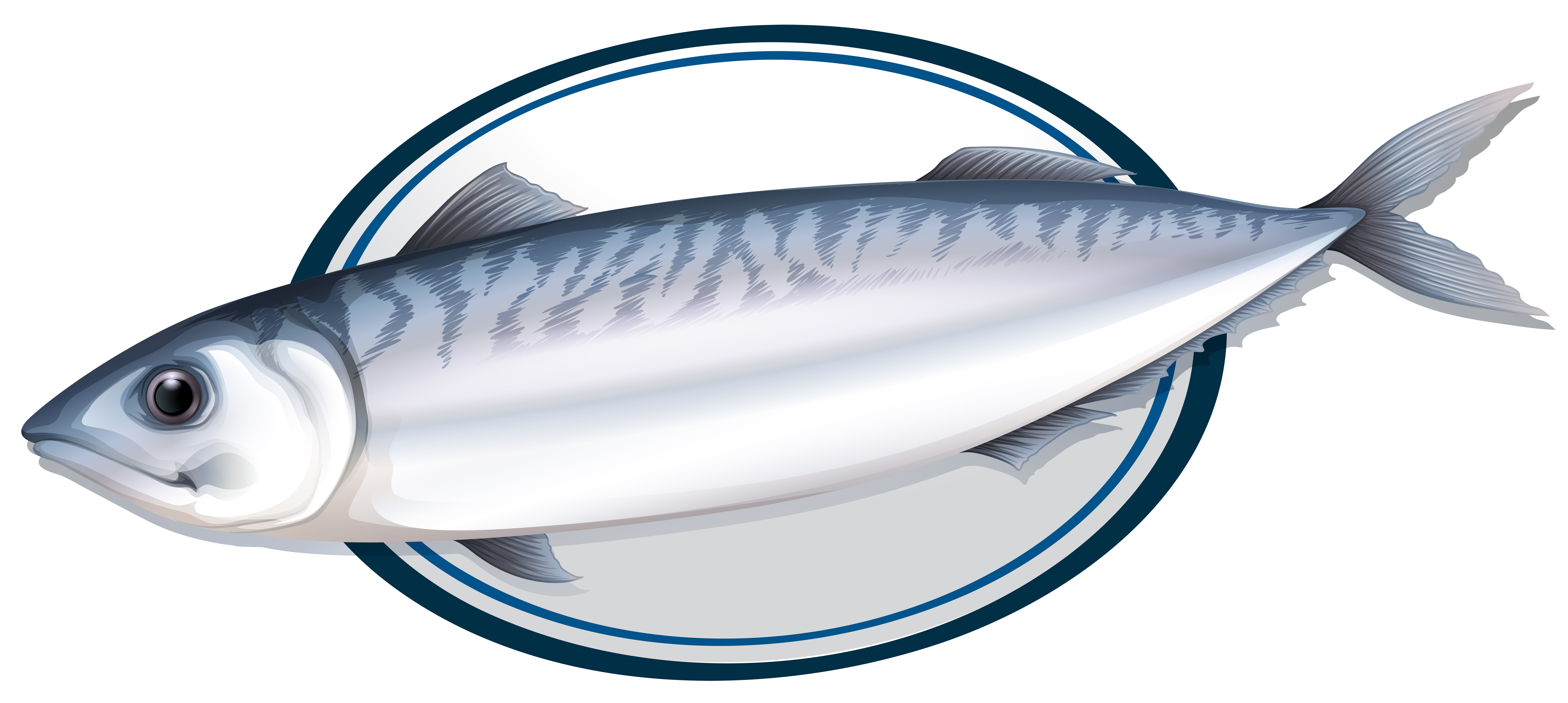 Download Sardine fish on a plate 301856 - Download Free Vectors, Clipart Graphics & Vector Art