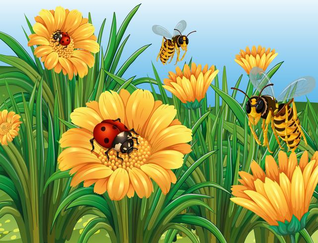 Ladybugs and wasps flying in garden vector