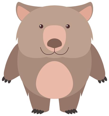 Cute wombat with happy face vector