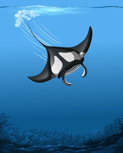 Una escena submarina de manta ray vector