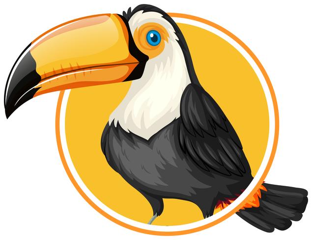 Toucan en plantilla de etiqueta círculo vector