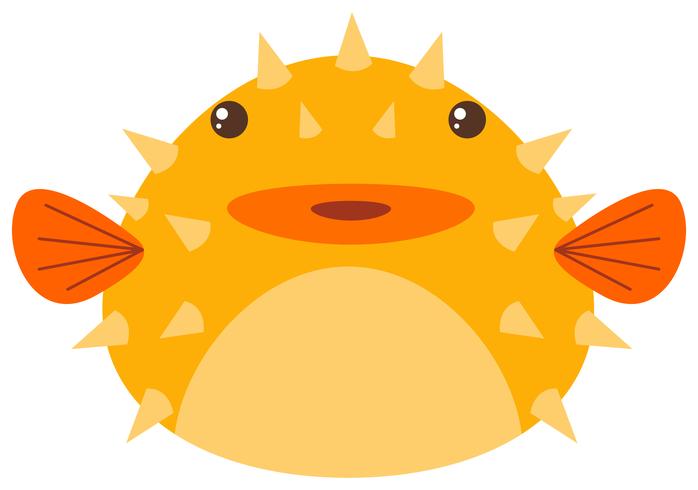 Puffer fish on white background vector