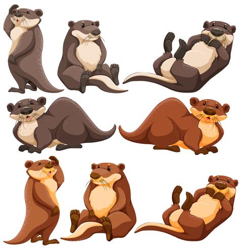 Cute otters in different actions vector