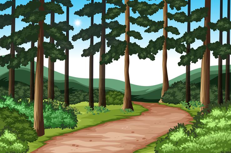 Hermoso paisaje de naturaleza verde. vector