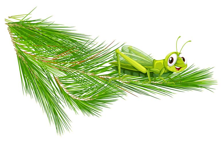 Branch with a happy grasshopper vector
