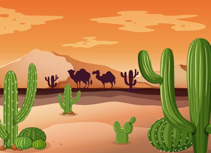 Escena del desierto con cactus y puesta de sol vector