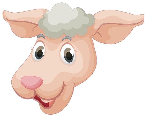 A face of sheep vector