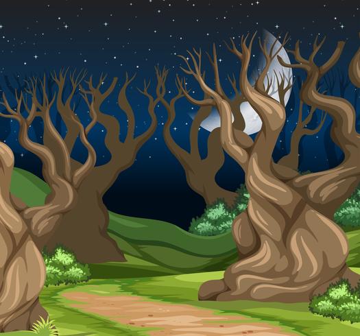 Un paisaje de bosque nocturno. vector