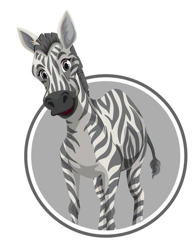 A zebra on sticker banner vector