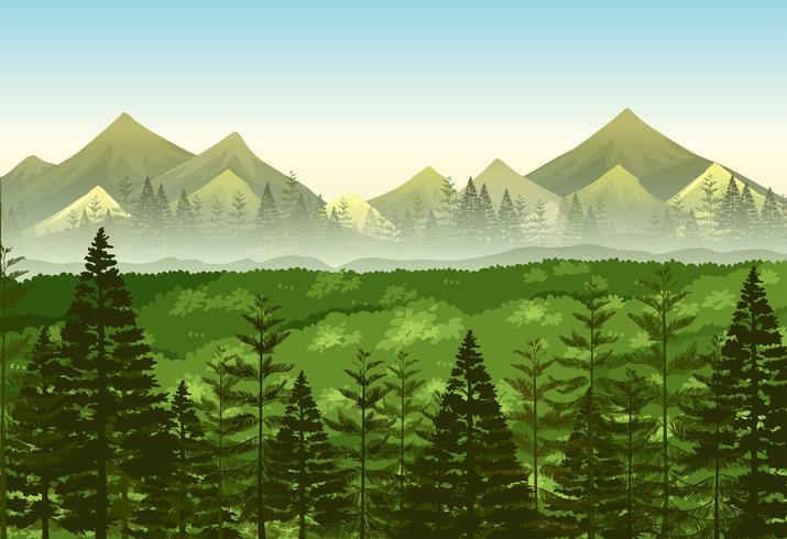 Escena de fondo bosque de pinos vector