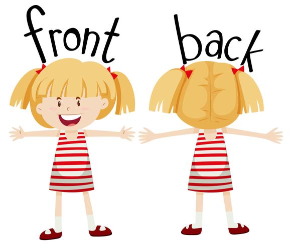 Little girl with front and back view vector