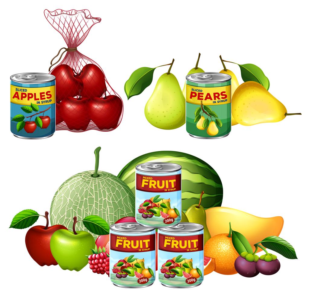 A Set of Fresh and Canned Fruits 302089 Vector Art at Vecteezy