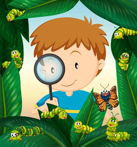 Boy observing insect life on the leaves vector