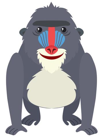 Baboon with happy face vector
