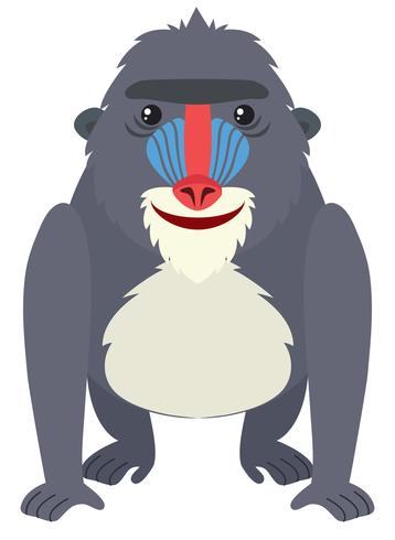 Baboon with happy face vector