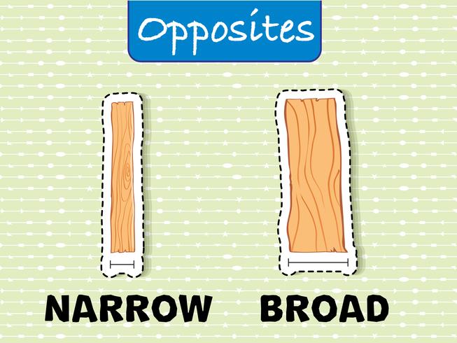 Opposite words for narrow and broad vector