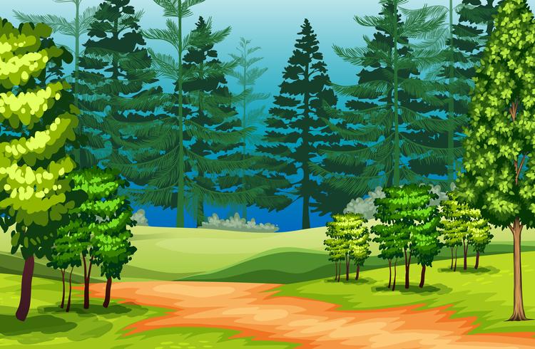 A beautiful nature landscape vector