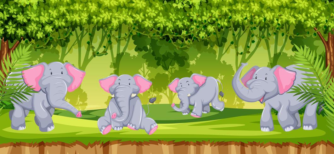 Elephants in the jungle scene vector