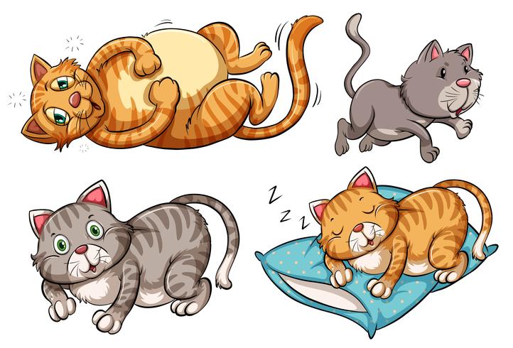 A set of cat character vector