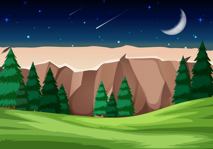 National park scene at night vector