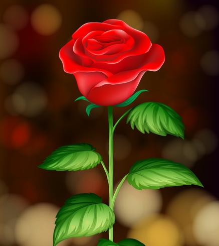 a-beautiful-red-rose-background-vector.j