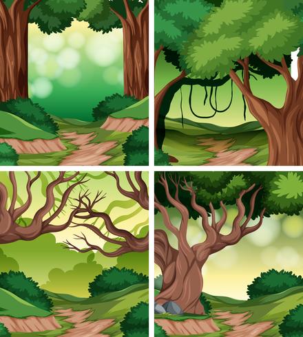 Set of rainforest background vector