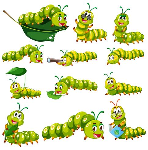 Green caterpillar character in different actions vector