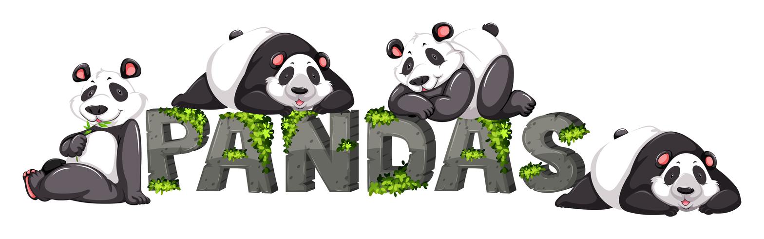 Cuatro pandas junto al cartel zoológico. vector