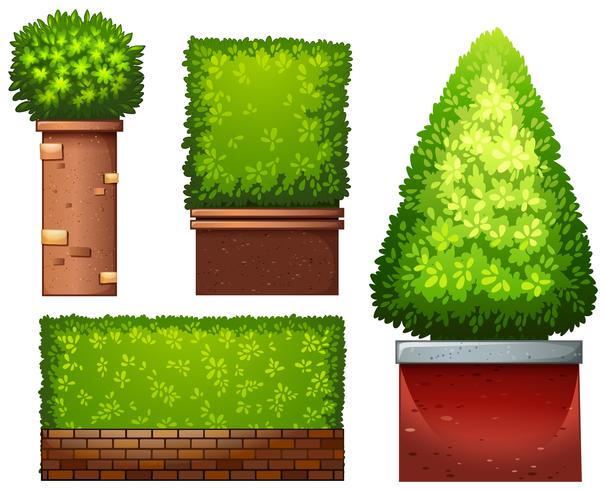 Set of green plant vector