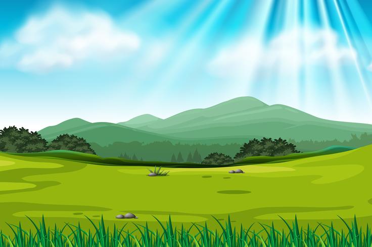 Escena de fondo con campo verde vector