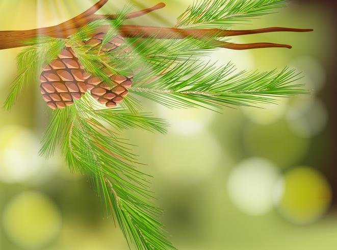 Pine Cone on Natural Green Background vector