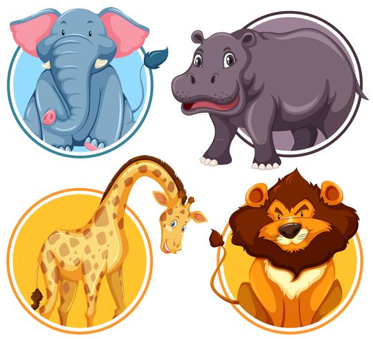 Set of African wildlife in circle banner vector