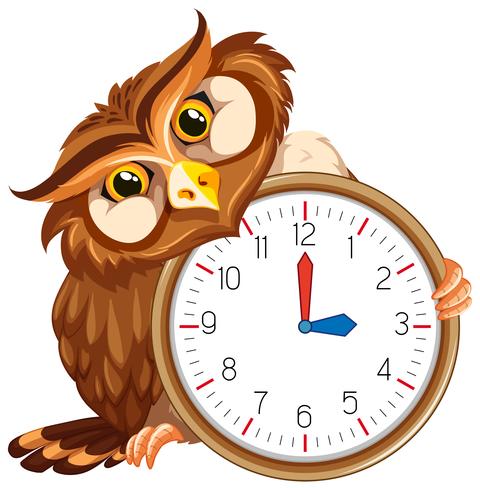 Un búho en reloj moderno vector