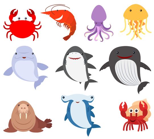 Many types of sea creatures vector