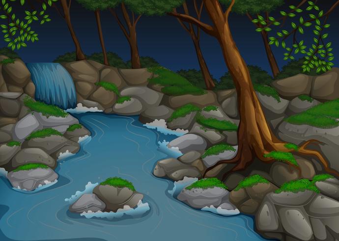 Escena del bosque con cascada y árboles en la noche vector