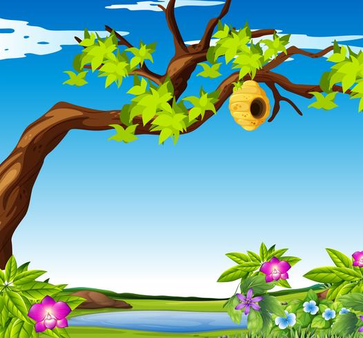 Scene of outdoors with a bee hive vector